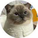 舒怡 profile picture